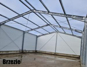 Brzezie1