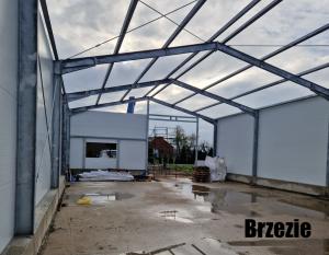Brzezie3